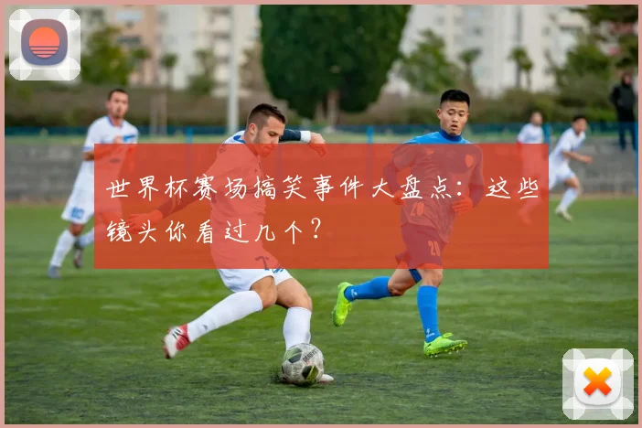 世界杯赛场搞笑事件大盘点:这些镜头你看过几个?