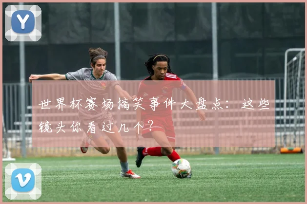 世界杯赛场搞笑事件大盘点:这些镜头你看过几个?