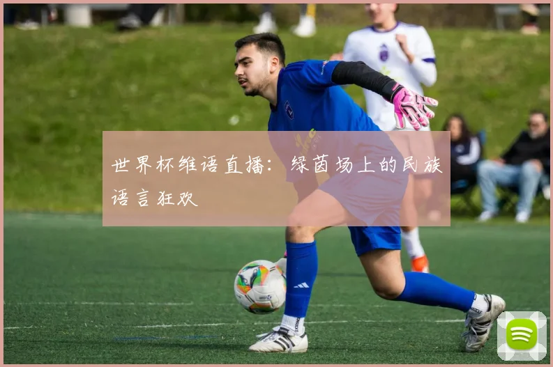 世界杯维语直播:绿茵场上的民族语言狂欢