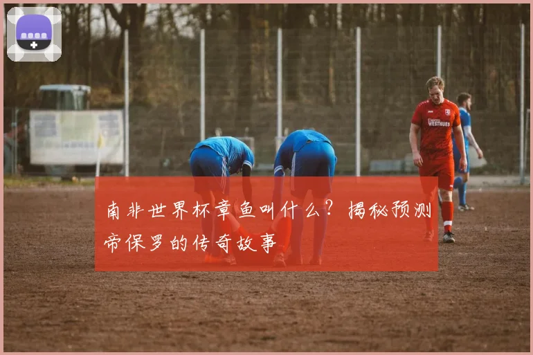 南非世界杯章鱼叫什么?揭秘预测帝保罗的传奇故事