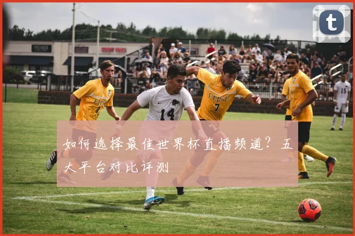 如何选择最佳世界杯直播频道？五大平台对比评测